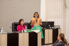 PRESTAÇÃO DE CONTAS - Investimentos da Saúde em Boa Vista são apresentados na Câmara Municipal