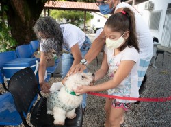 Prefeitura inicia campanha de vacinação antirrábica em Boa Vista