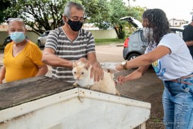 Vacinação antirrábica  - Mais de 16 mil animais já foram imunizados contra a raiva em dois sábados de campanha