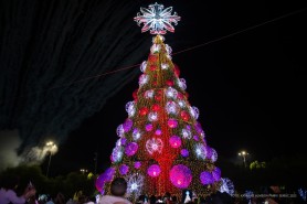 População se encanta com acendimento de luzes de árvores de Natal gigantes em Boa Vista