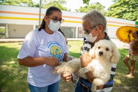 Campanha contra Raiva imunizou mais de 28 mil animais em Boa Vista
