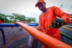 Parque Germano Augusto Sampaio passa por revitalização na estrutura