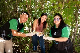 Mais que um lazer, Bosque dos Papagaios também é espaço de estudo e preservação ambiental