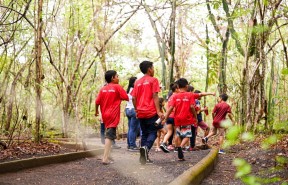 Bosque dos Papagaios tem novo cronograma de funcionamento