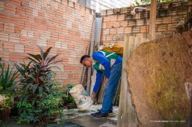 LIRAa - Prefeitura mantém monitoramento e intensifica ações contra o Aedes aegypti