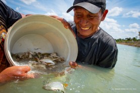 MORO-MORÍ - Comunidade Truaru da cabeceira recebe alevinos para produção autossustentável