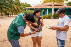 CAMPANHA ANTIRRÁBICA - Vacinação avança na zona rural e imuniza cães e gatos no PA Nova Amazônia