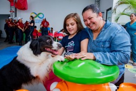 CINOTERAPIA - Projeto envolve guardas civis para atuarem com cães em atividades voltadas à saúde e bem-estar