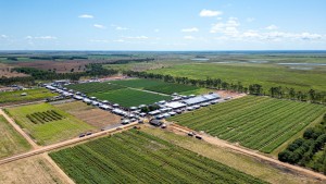 AGROBV 2025 - Campo experimental: Uma vitrine de tecnologia e inovação no Maior evento do Agro de Roraima