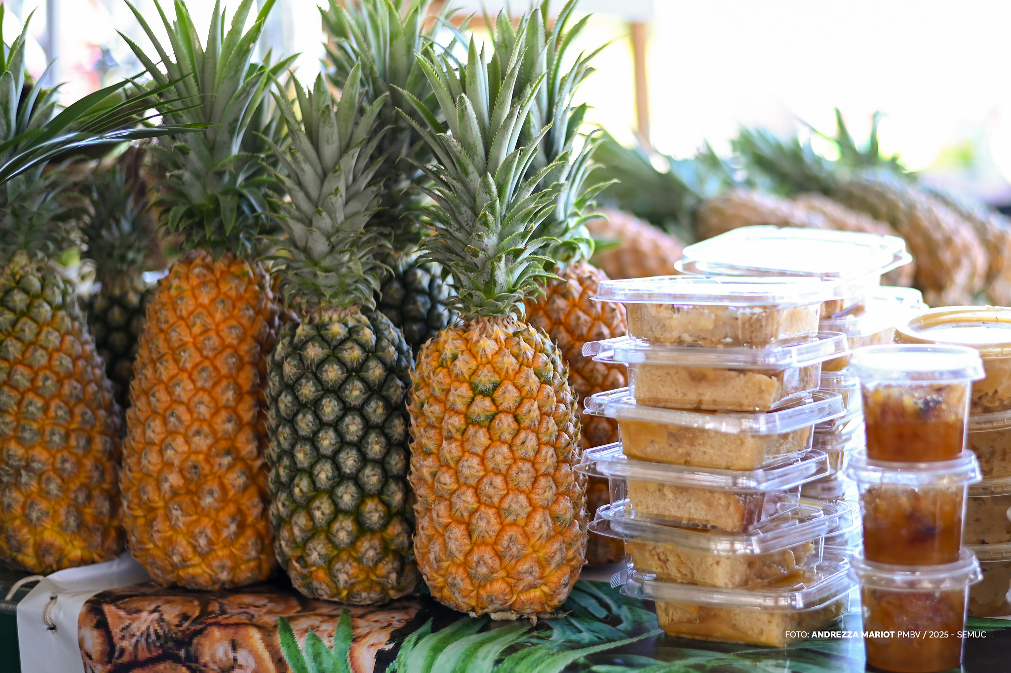 agrobv 2025 - praça de alimentação realça os sabores da agricultura familiar de boa vista 5 54691529816 059d1f0578 k