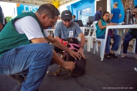 CAMPANHA ANTIRRÁBICA - Confira os pontos de vacinação deste sábado, 30