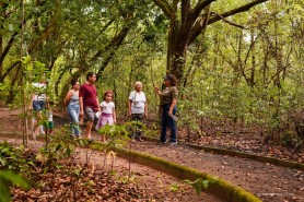 Dia Mundial da Educação Ambiental foi celebrado com programação especial no Bosque dos Papagaios