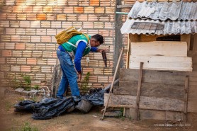 DENGUE - Alerta do MS não abrange Boa Vista, mas cuidados devem ser mantidos em casa