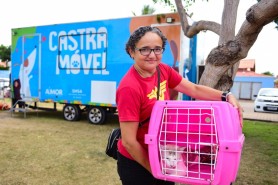 Castra Móvel já atendeu mais de 800 cães e gatos em Boa Vista