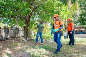 Defesa Civil Municipal integra ações contra a mosca-da-carambola