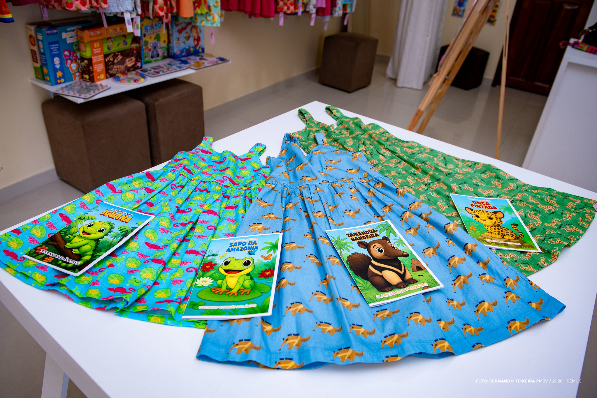 Foto: Reprodução/Prefeitura de Boa Vista - RR