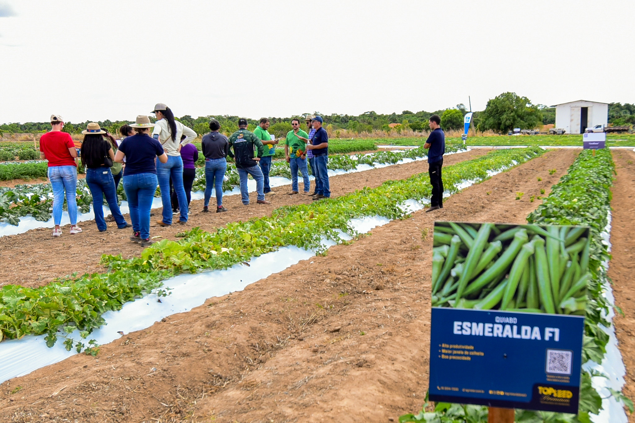 Foto: Reprodução/Prefeitura de Boa Vista - RR