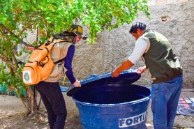 XÔ, MOSQUITO! - Prefeitura intensifica ação de combate à dengue neste sábado, 28