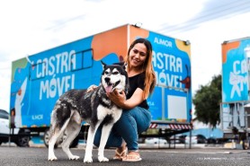 Castra Móvel atenderá cães e gatos machos do bairro Murilo Teixeira