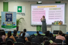 Educação Infantil de Boa Vista ganha reforço com programa de formação continuada para professores