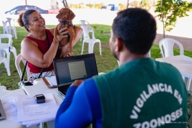 Castra Móvel garante esterilização gratuita e fortalece saúde animal em Boa Vista