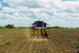Agricultura familiar recebe apoio da Prefeitura para safra de milho e soja em Boa Vista