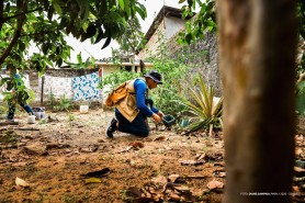 Prefeitura inicia mutirão contra o Aedes aegypti em bairros de Boa Vista