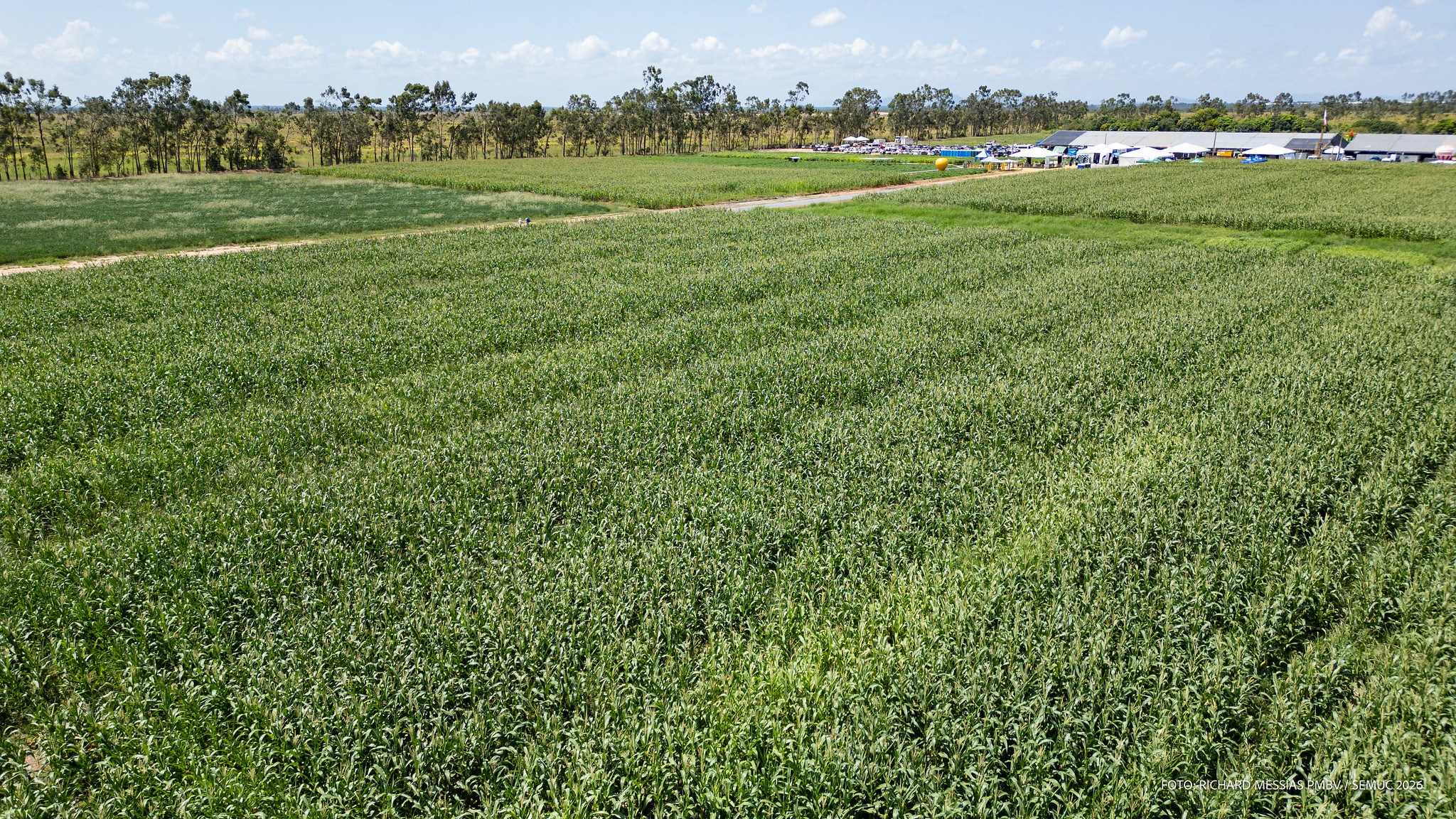 Foto: Reprodução/Prefeitura de Boa Vista - RR