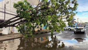 Com atuação imediata, Defesa Civil Municipal faz monitoramento durante chuvas em Boa Vista
