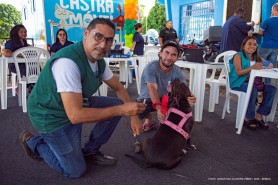 Campanha de Vacinação Antirrábica em Boa Vista começa neste sábado, 1º
