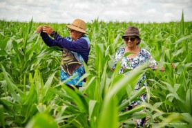 BV 136 ANOS - Há décadas, agricultores escrevem a história de Boa Vista na zona rural da capital