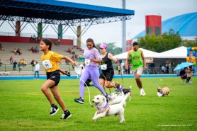 BV 136 ANOS - 4° Corridinha Pet uniu afeto, superação e cumplicidade entre tutores e seus fiéis companheiros