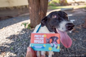 CAMPANHA ANTIRRÁBICA - Mais de 14 mil cães e gatos são imunizados pela Prefeitura de Boa Vista