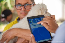 MEU PET BV - Vacinação de cães e gatos em Boa Vista conta com novo sistema de cadastro