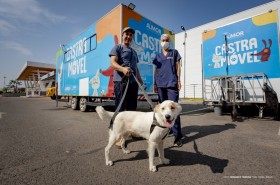 Castra Móvel segue no bairro Cauamé para atendimento de cães e gatos machos