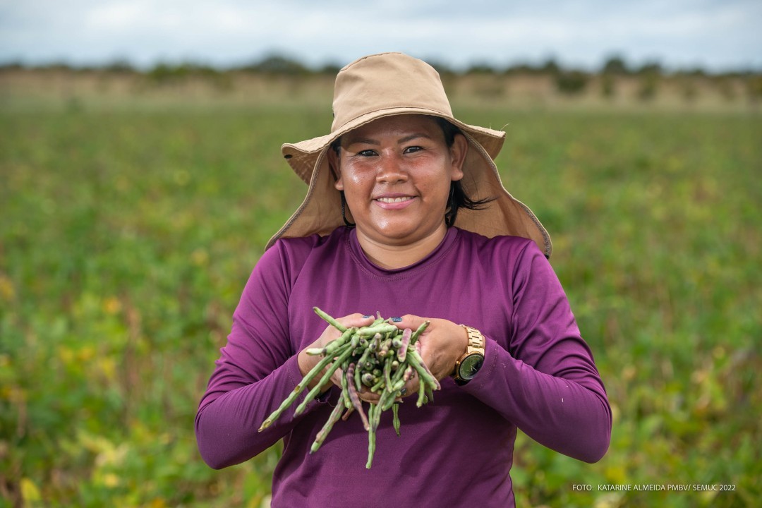 AGRICULTURA FAMILIAR - Colheita do feijão Caupi se inicia em 13 comunidades indígenas de Boa Vista