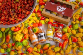 PROJETO TAY TAY - Boa Vista possui uma variedade de pimentas que são produzidas na zona rural