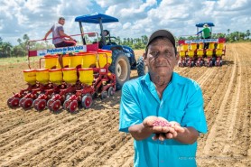 AGRICULTURA FAMILIAR - Plantio de feijão se inicia em 15 comunidades indígenas de Boa Vista neste 2° semestre de 2022