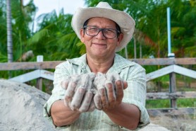 AGRICULTURA FAMILIAR - Prefeitura inicia a distribuição de calcário para o plantio de diversas culturas no primeiro semestre de 2023