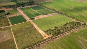 Prefeitura anuncia programação da AgroBV - A feira da agricultura familiar de Boa Vista