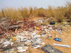 Período chuvoso -  Prefeitura intensifica fiscalização de terrenos baldios em Boa Vista