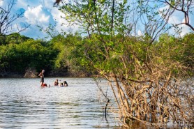 ATAQUE DE PIRANHAS - Defesa Civil recomenda muita atenção aos banhistas em rios e igarapés