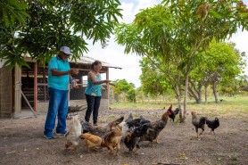 AGRICULTURA FAMILIAR - Produtores da Vila MCLaren serão os novos beneficiados do Plano Municipal de Desenvolvimento do Agronegócio (PMDA)