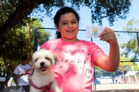ANTIRRÁBICA - Campanha de vacinação de cães e gatos continua neste sábado, 13, em Boa Vista