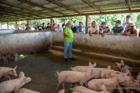Visita a granja marca encerramento do 1º Seminário de Suinocultura de Roraima