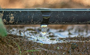 AGROBV 2022 - Novo sistema de irrigação via energia solar é lançado durante Maior Feira da Agricultura Familiar