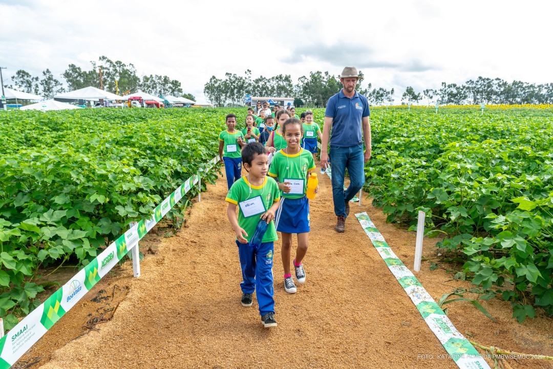 Alunos de Boa Vista aprendem sobre culturas agrícolas desenvolvidas no Campo Experimental