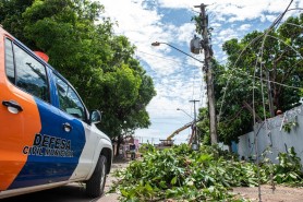 Defesa Civil intensifica ações nos bairros da capital após fortes chuvas em Boa Vista