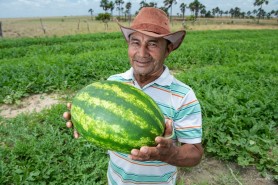 DIA DO TRABALHADOR RURAL - Mais de 300 famílias são beneficiadas com projetos da prefeitura que fomentam a agricultura familiar