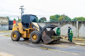 Cerca de 60 mil toneladas de galhadas já foram recolhidas das ruas da capital